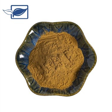 চাইনিজ ডডার এক্সট্র্যাক্ট পাউডার