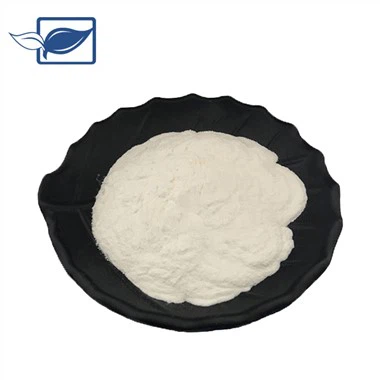 Organic Apple Cider Vinegar Powder